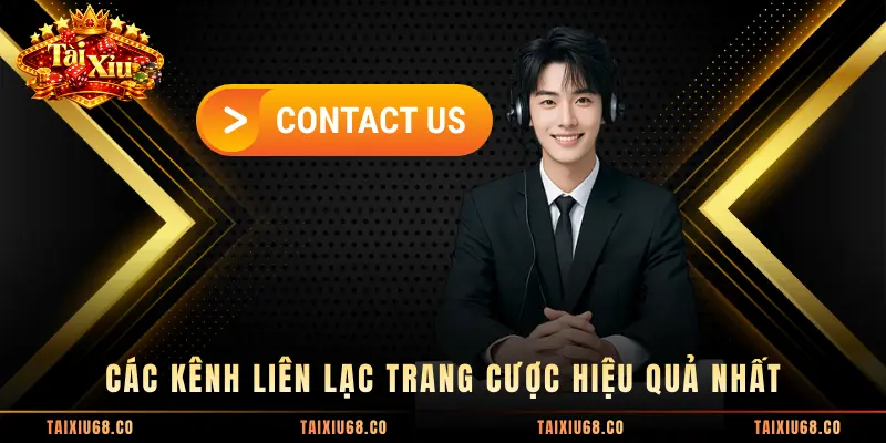 Các kênh liên lạc trang cược hiệu quả nhất