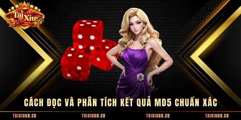 Cách đọc và phân tích kết quả MD5 chuẩn xác