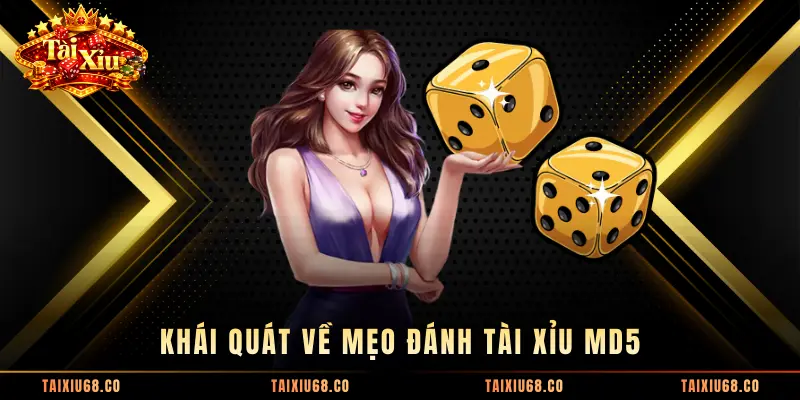 Khái quát về mẹo đánh Tài Xỉu MD5