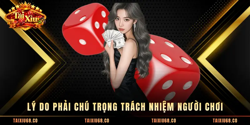 Lý do phải chú trọng trách nhiệm người chơi