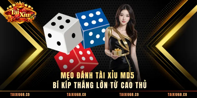 Mẹo Đánh Tài Xỉu MD5 - Bí Kíp Thắng Lớn Từ Cao Thủ