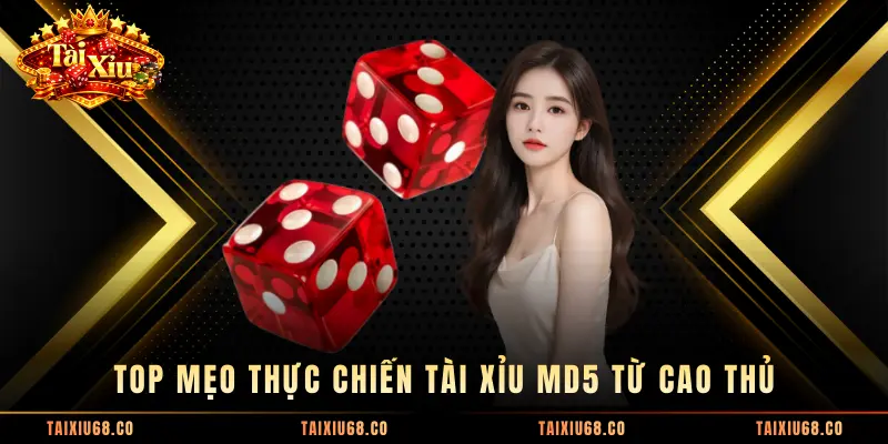 Top mẹo thực chiến Tài Xỉu MD5 từ cao thủ